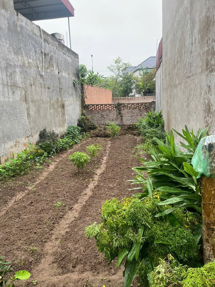 Đất nền mặt đường 223 Hưng Hà 75m² giá chỉ 3 tỷ - Tiềm năng sinh lời cao!