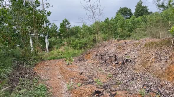 Lô đất Ngọc Đồng, Yên Lập 4600m² giá 2 tỷ - Cơ hội đầu tư tuyệt vời!