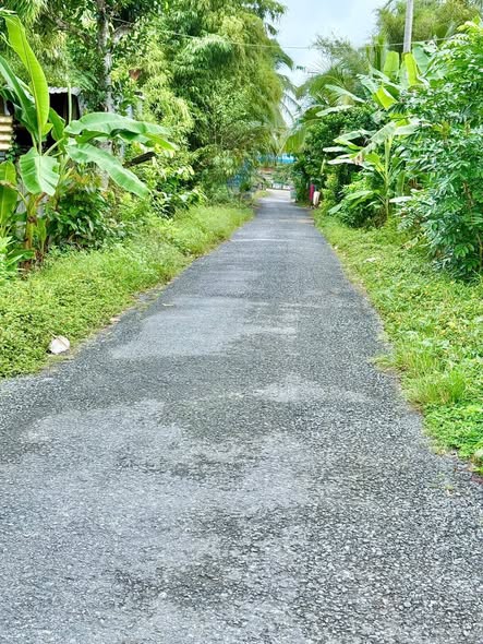 Đất nền thổ cư Ngã Bảy Hậu Giang 250m² giá 750 triệu - Đầu tư sinh lời ngay!