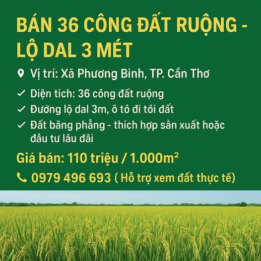 Đất ruộng 36 công tại Phương Bình, Cần Thơ - Giá chỉ 110 triệu/1.000m²!
