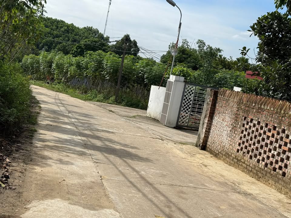 Đất thổ cư 100m² tại Phú Xá, Thái Nguyên - Giá chỉ 700 triệu!