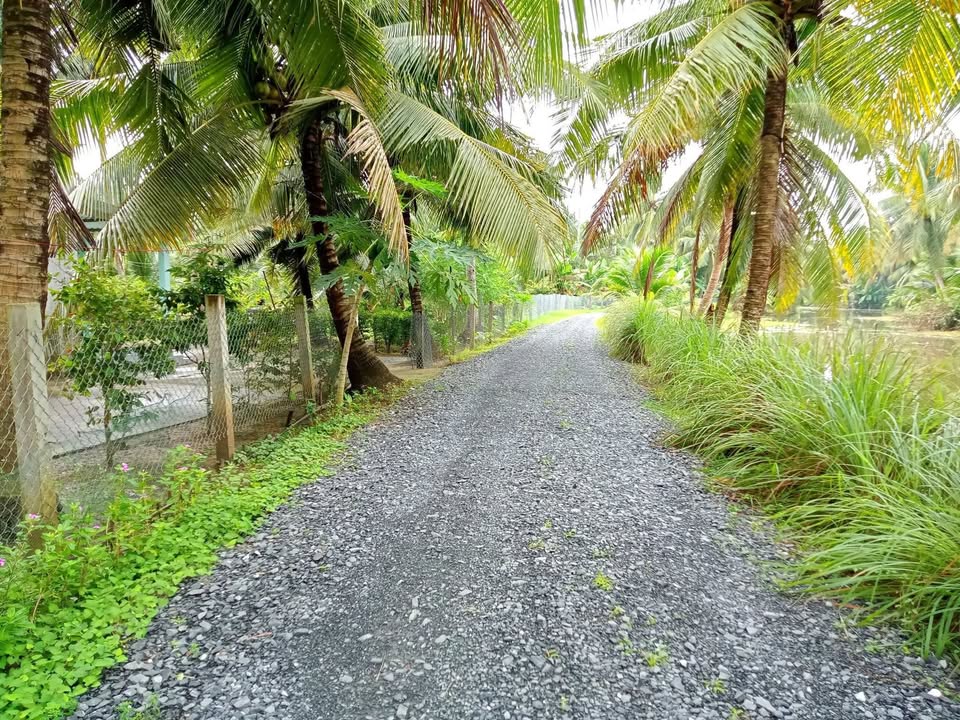 Đất vườn 2000m² ấp Bình Trung, Gò Công Tây - Giá chỉ 1.7 tỷ!