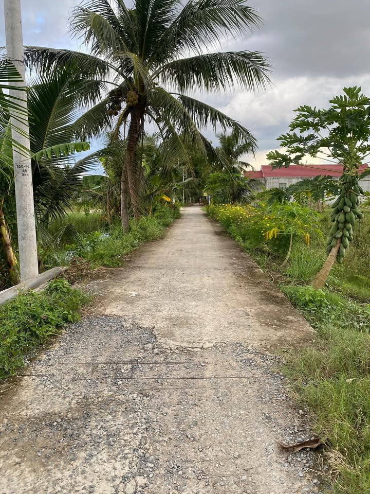 Đất nền liền kề mặt tiền Kênh Đìa Thùng, Phường Trung An, TP Mỹ Tho - Giá chỉ từ 400 triệu