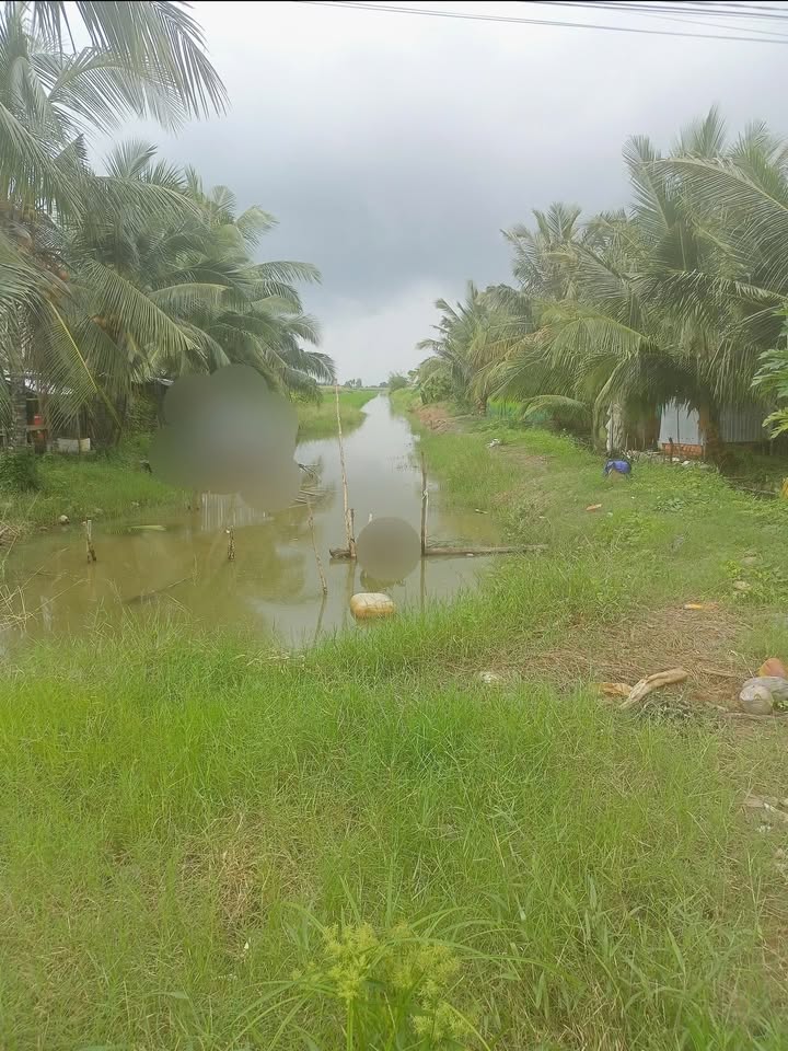 Bán đất Farm 12.000m² tại Xáng Tư Đông Hòa, Kiên Giang - Giá chỉ 1.38 tỷ VND