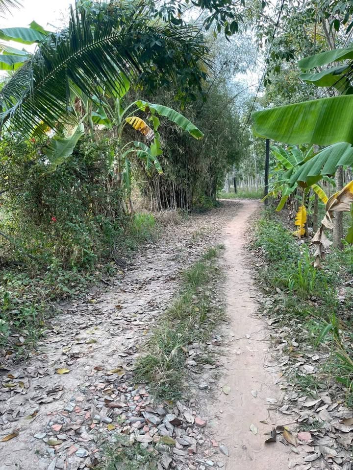 Đất nền Phước Vinh 160m² giá 135 triệu - Cơ hội đầu tư tốt!