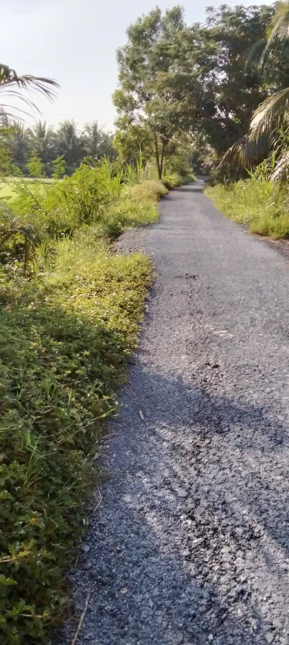 Đất nền 2 công 3 Mặt tiền đường nhựa tại Cái Nhum, Vĩnh Long - Giá chỉ 2.88 tỷ!