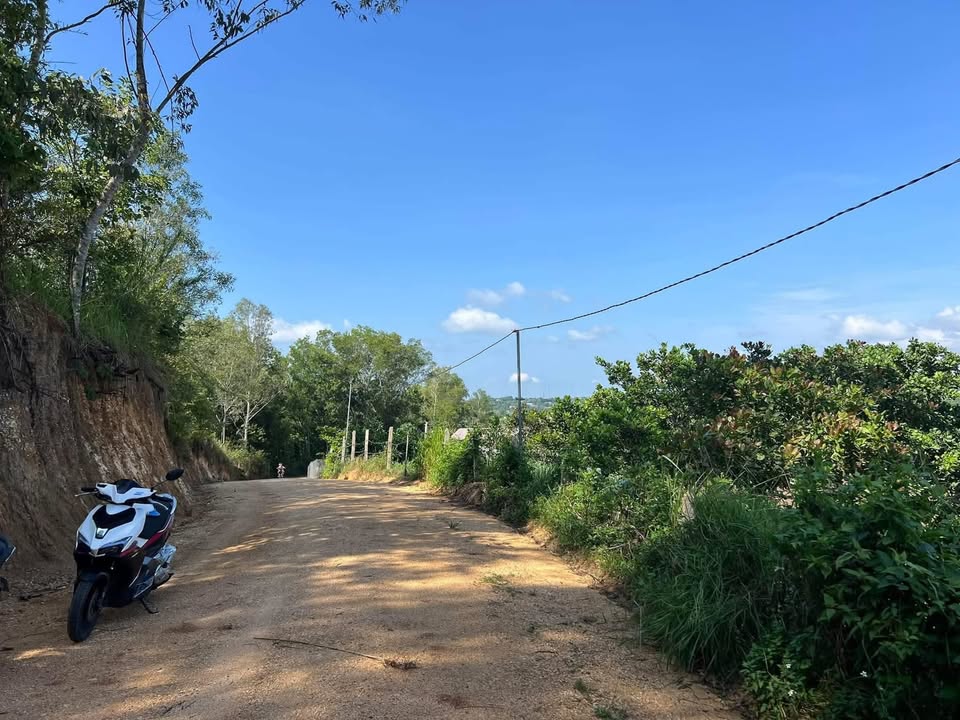 Đất sào bám suối đẹp tại Thôn 9 Ea Sar, 1,3ha giá 1,1 tỷ - Cơ hội đầu tư tuyệt vời!