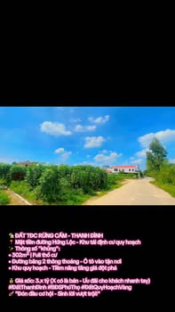 Đất tái định cư Thanh Đình 302m² giá 2.9 tỷ - Cơ hội đầu tư hấp dẫn!