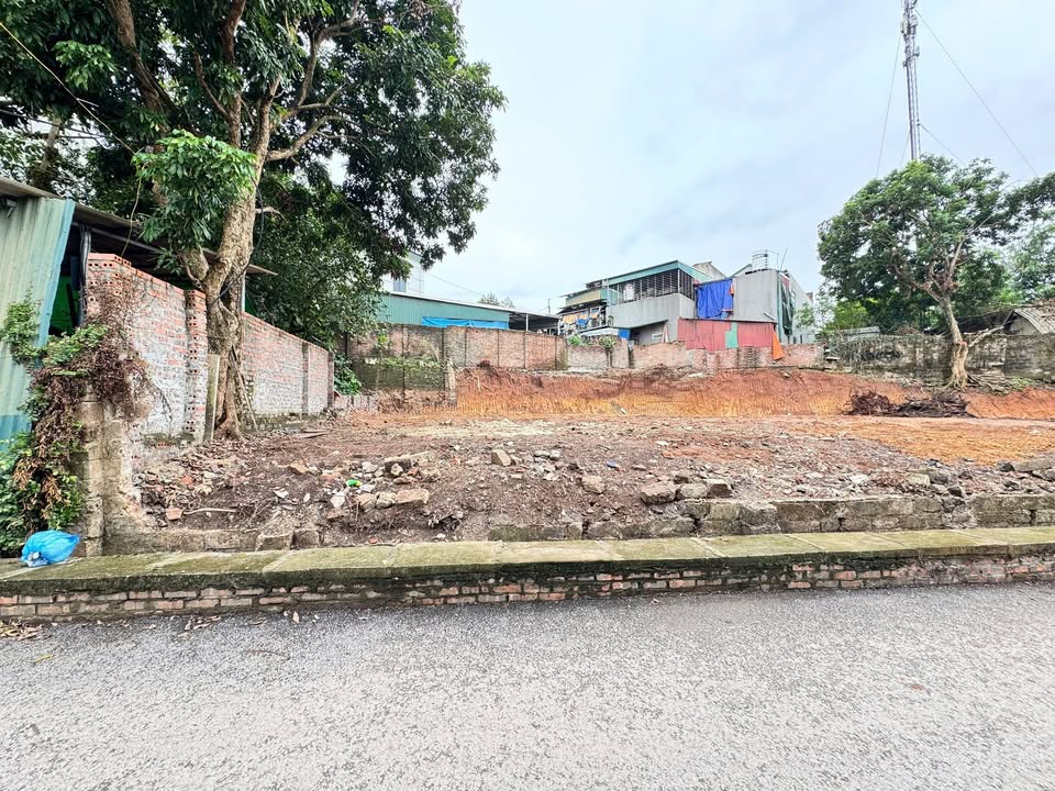 Đất thổ cư Thanh Miếu, Việt Trì 104.7m² giá 3 tỷ - Sổ hồng chính chủ!