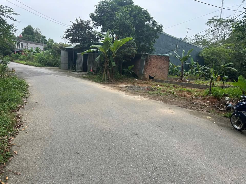 Đất nền chính chủ tại xã Hy Cương 200m² giá chỉ 1 tỷ - Đầu tư sinh lời hấp dẫn!