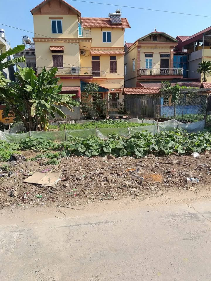 Đất nền Phù Đổng, Gia Lâm 60m² giá 3.9 tỷ - Vị trí đẹp, đầu tư sinh lời!