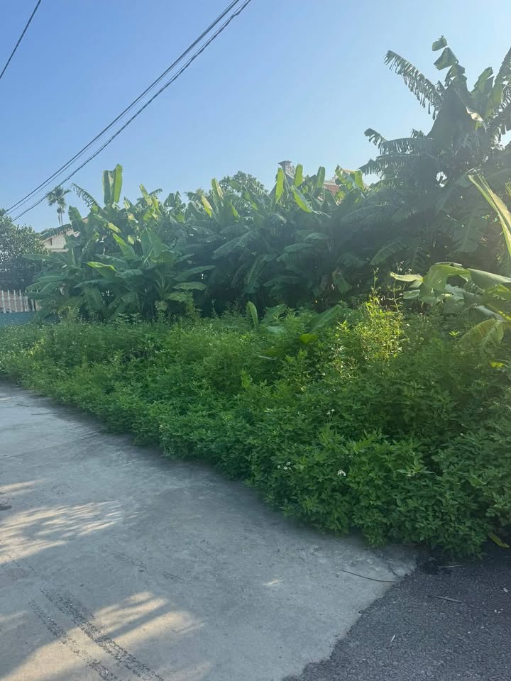 Đất nền Đa Phúc - Dương Kinh 47.5m² giá 1.05 tỷ - Cơ hội đầu tư hấp dẫn!