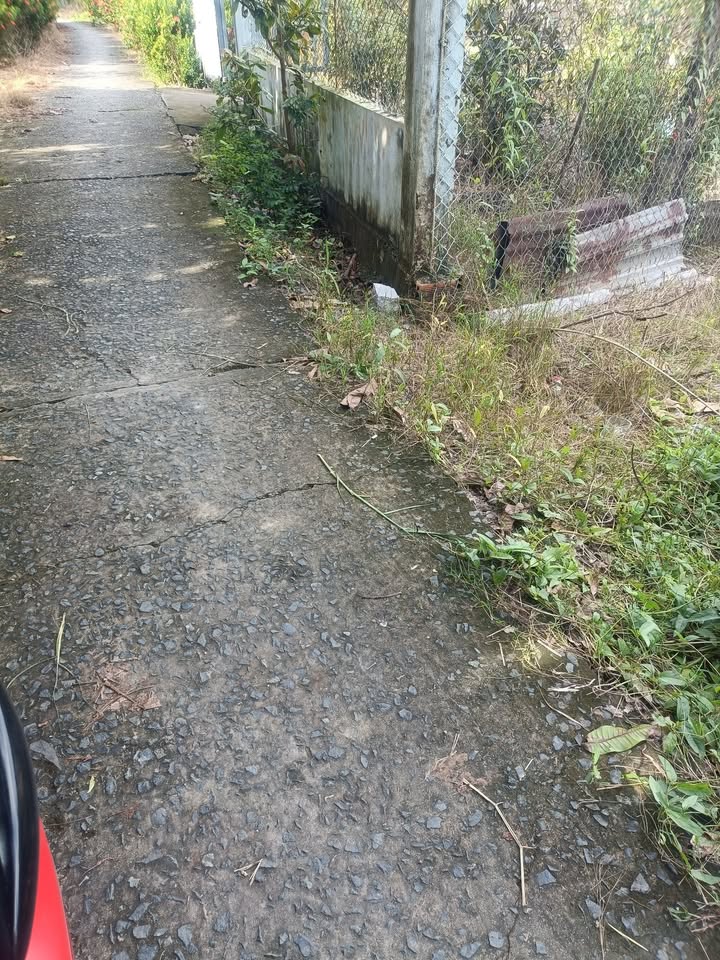 Đất nền 124m² tại xã Mỹ Thuận, Bình Tân - Giá chỉ 200 triệu, hỗ trợ trả góp!