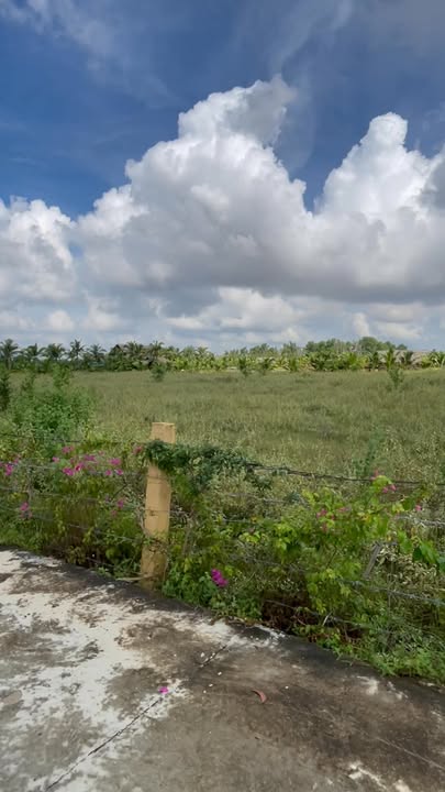 Đất thổ cư Mũi Né 1000m² giá 2 tỷ - Cơ hội đầu tư sinh lời!