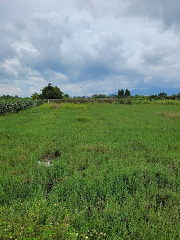 Đất nền Hàm Liêm 1.888m² giá 1.35 tỷ - Cơ hội đầu tư hấp dẫn!