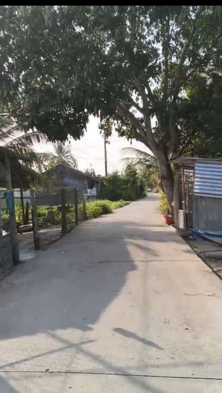 Đất thổ cư 186m² tại Thới Đông, Cờ Đỏ - Tiềm năng đầu tư sinh lời!