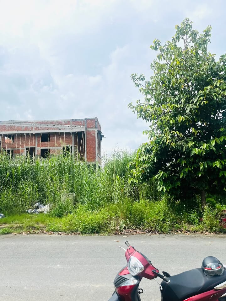 Đất nền hẻm 2m đường B8 KDC Phú An, 81m² giá 2.8 tỷ - Vị trí đắc địa