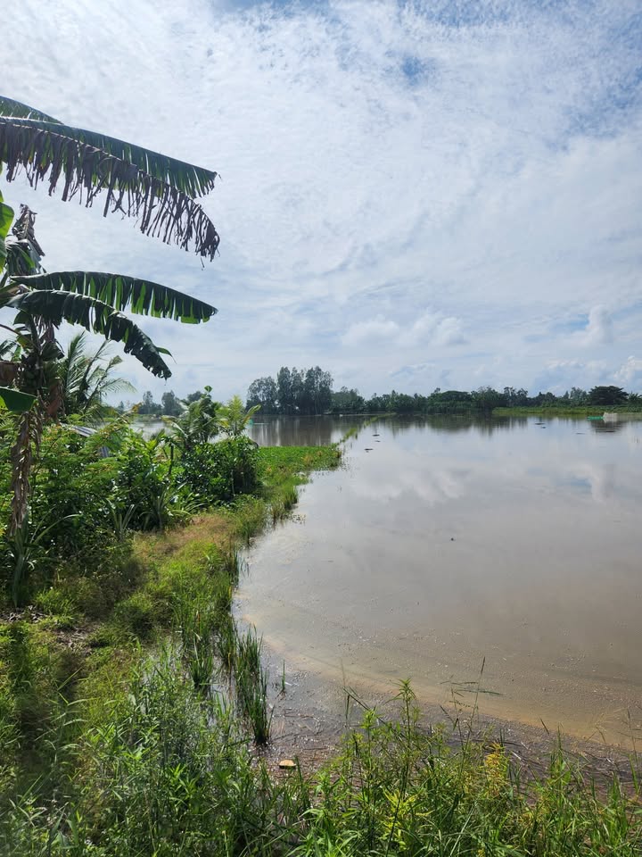 Đất nền 3700m² tại Đông Thuận, Thới Lai - Giá chỉ 740 triệu VND, thương lượng tốt!