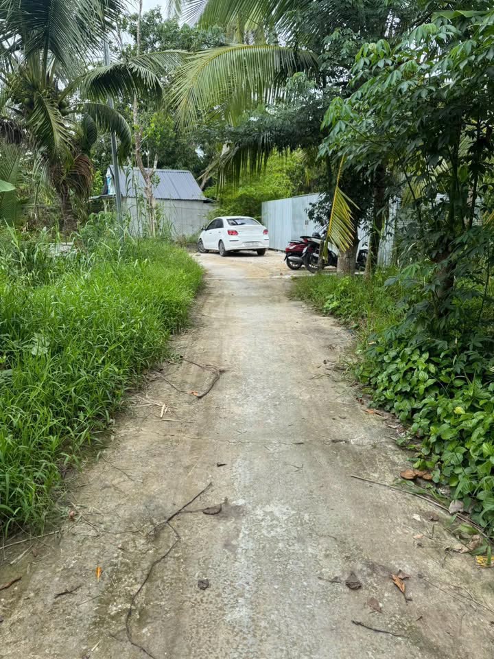 Đất nền An Bình Cần Thơ 2079m² giá chỉ 2.9 tỷ - Hàng hiếm gần khu du lịch!