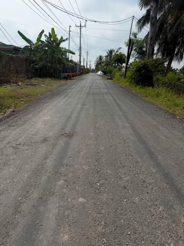 Đất vườn 5219m² mặt tiền đường nhựa tại Tân Thuận Bình, Đồng Tháp - Giá chỉ 4 tỷ!