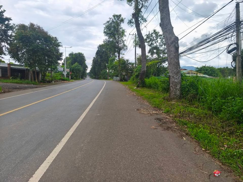 Warehouse mặt tiền Quốc lộ 56, Nghĩa Thành, 1.7ha giá 60 tỷ - Đầu tư sinh lời ngay!