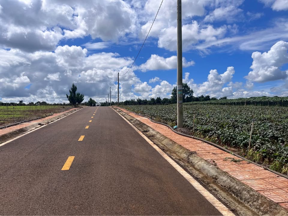 Đất nền Liên Hiệp, Đức Trọng 125m² giá 790 triệu - Cơ hội đầu tư tuyệt vời!