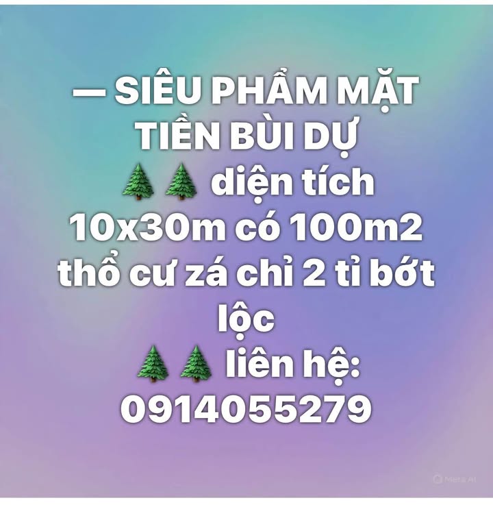 Nhà mặt tiền Bùi Dự, Pleiku 300m² giá 2 tỷ - Cơ hội đầu tư tuyệt vời!