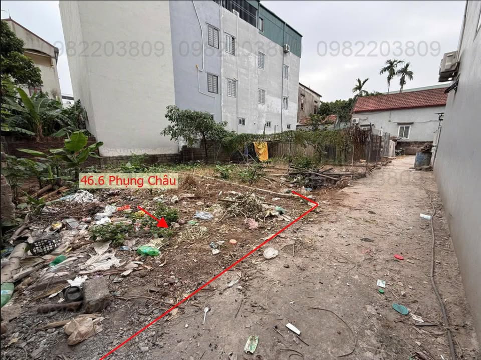 Lô đất Phụng Châu 46m² giá 2 tỷ - Cơ hội đầu tư sinh lời cao!