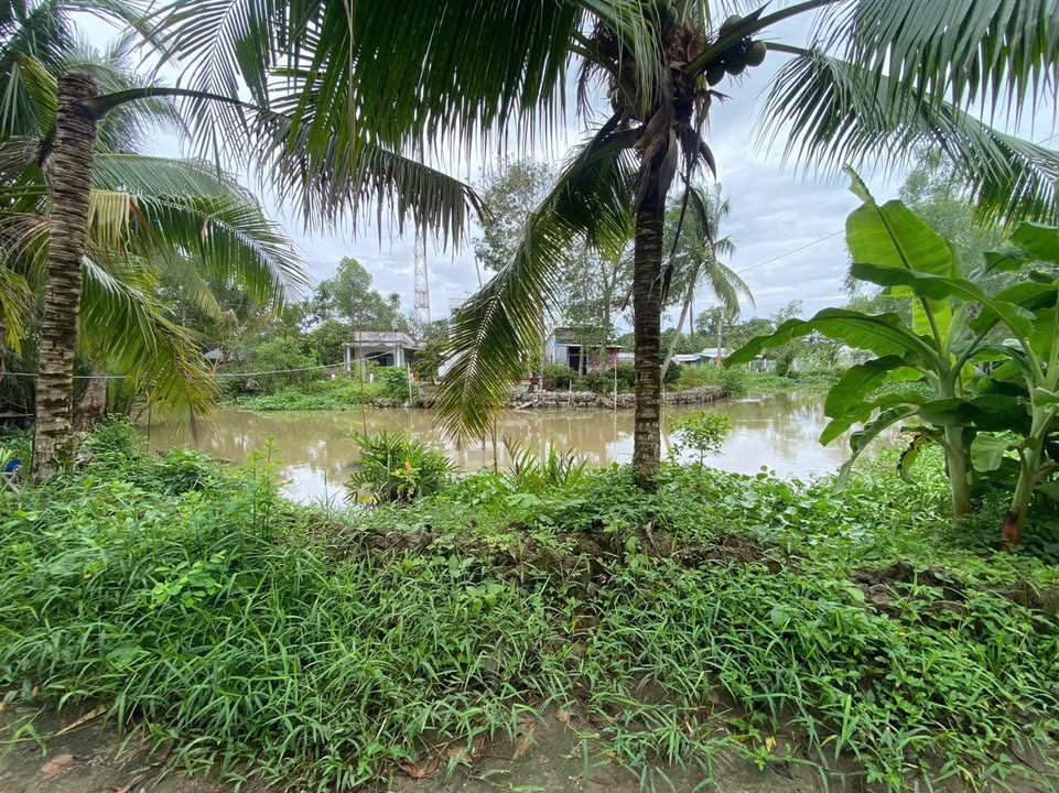 Đất nền An Bình Cần Thơ 1580m² giá 2.9 tỷ - Cơ hội đầu tư hiếm có!