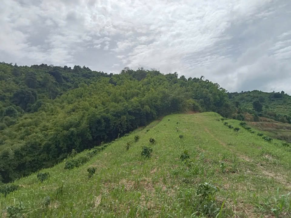 Đất thổ cư mặt tiền Quốc lộ 14 - 838m² giá chỉ 2.3 tỷ - Cơ hội đầu tư tuyệt vời!