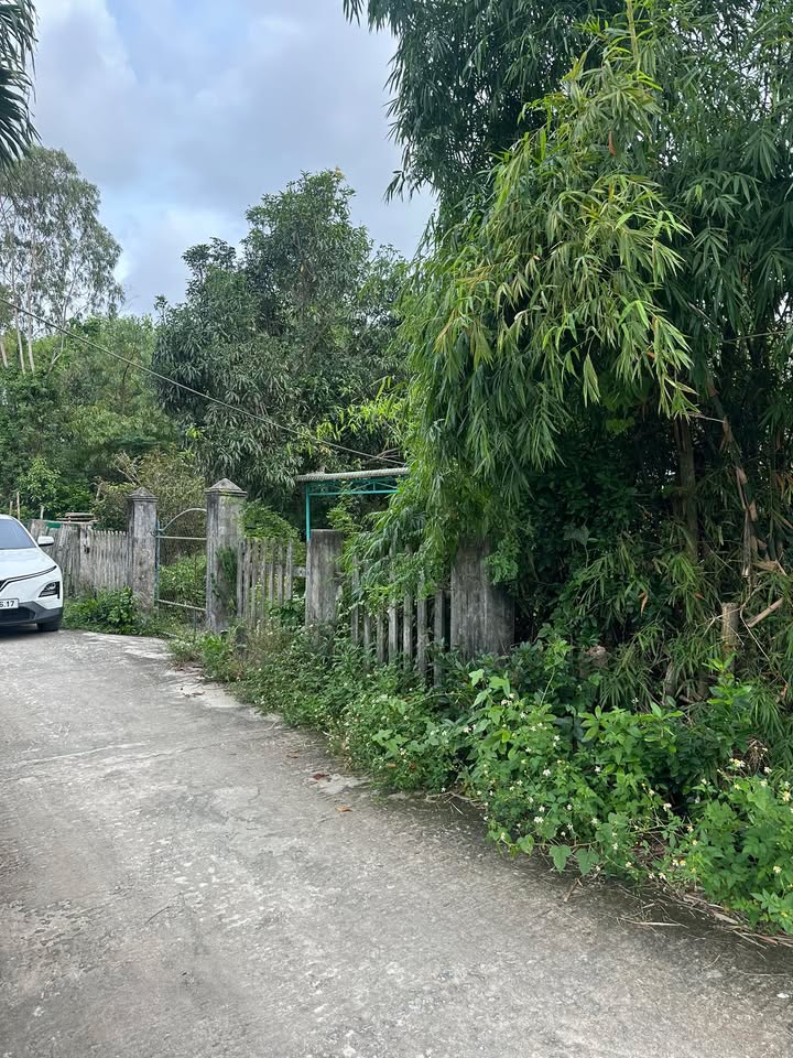 Đất nền Thăng Trường, Tam Kỳ 180m² giá chỉ 600 triệu - Cơ hội đầu tư hấp dẫn!