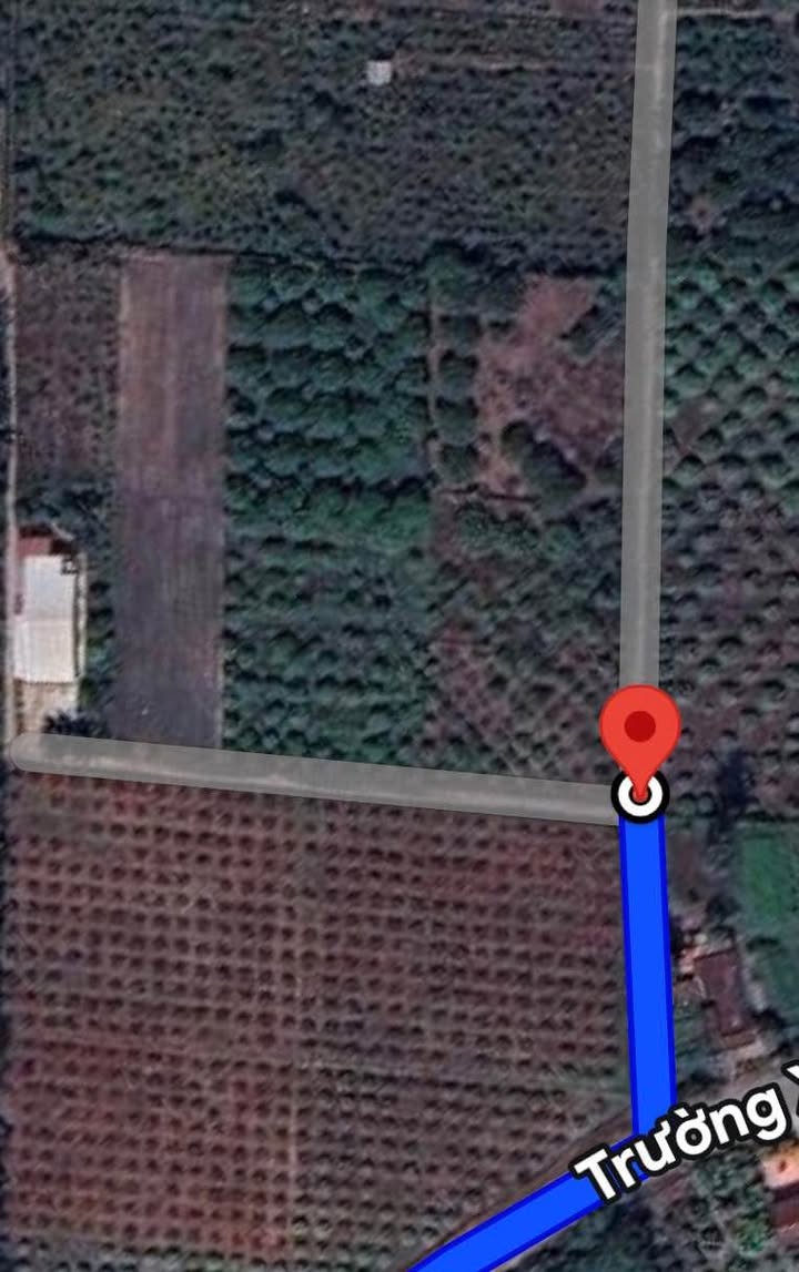 Đất nền 1000m² giá 1 tỷ - Sổ đỏ chính chủ, đầu tư sinh lời tại Long Hoa