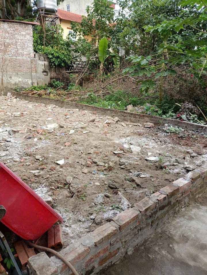 Đất thổ cư 49,5m² Thôn Ninh Xá, Thường Tín - Giá chỉ 2 tỷ, sẵn sàng giao dịch!