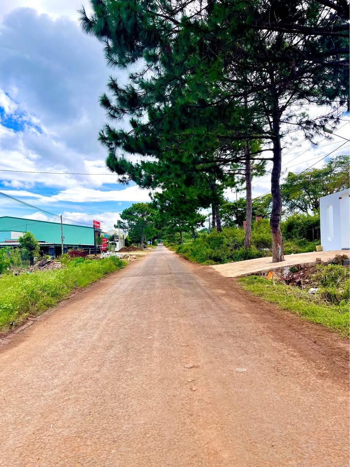 Đất Mặt Tiền Đường Lê Văn Sỹ, Phường Thống Nhất, 715m² - Đầu tư lý tưởng tại Biển Hồ!