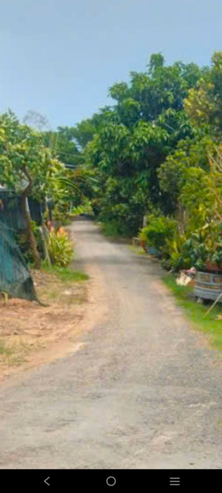 Đất nền chính chủ tại phường Mỹ Ngãi, Cao Lãnh - 300m² chỉ 650 triệu - Pháp lý rõ ràng!