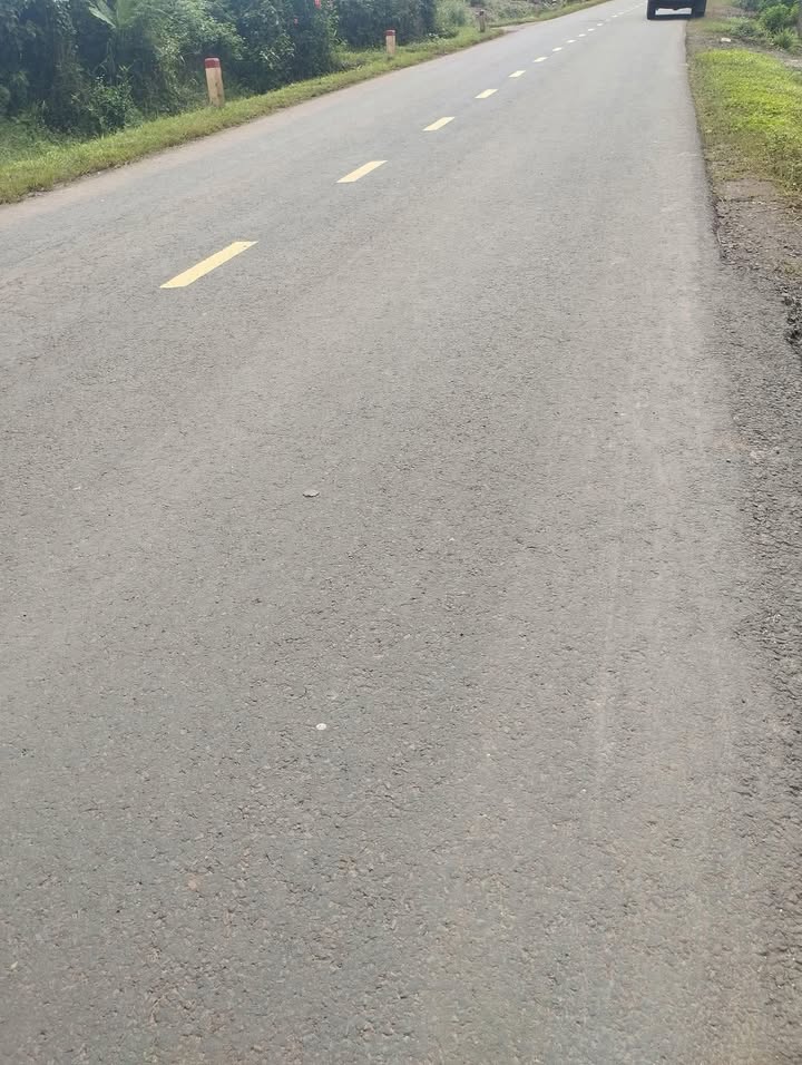 Đất thổ cư 1500m² Quốc lộ 29 giá 1.65 tỷ - Cơ hội đầu tư tuyệt vời!