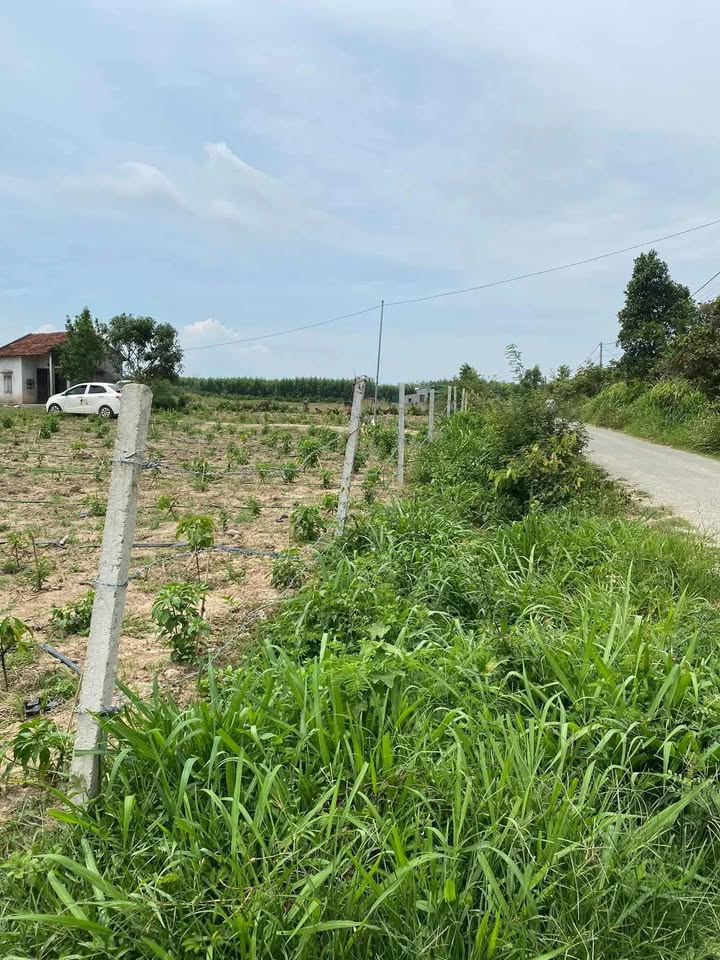 Đất ở Ea Păl 150m² giá thỏa thuận - Cơ hội đầu tư hiếm có!