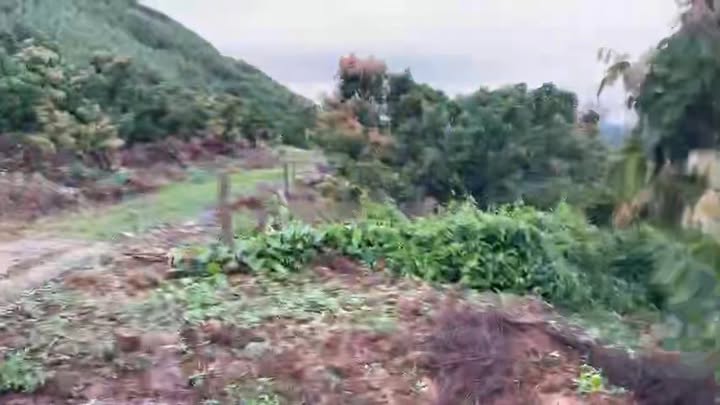 Đất vườn Đèo Gia, Sơn Động 3000m² giá chỉ 600 triệu - Thế đất đẹp hướng Thủy!