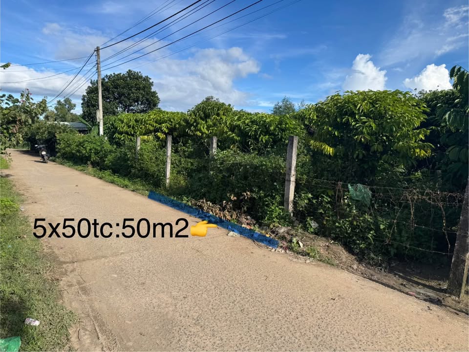 Đất thổ cư thôn Lâm Tùng, xã Ia Chim, 250m² - Đường bê tông thuận tiện!