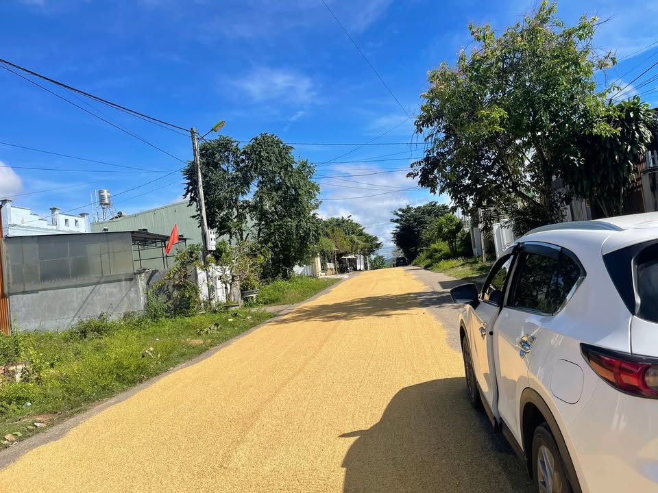 Đất thổ cư 280m² đường Lê Thị Hồng Gấm, phường Lê Lợi, giá 1.05 tỷ - Vị trí đẹp, gần trường học!