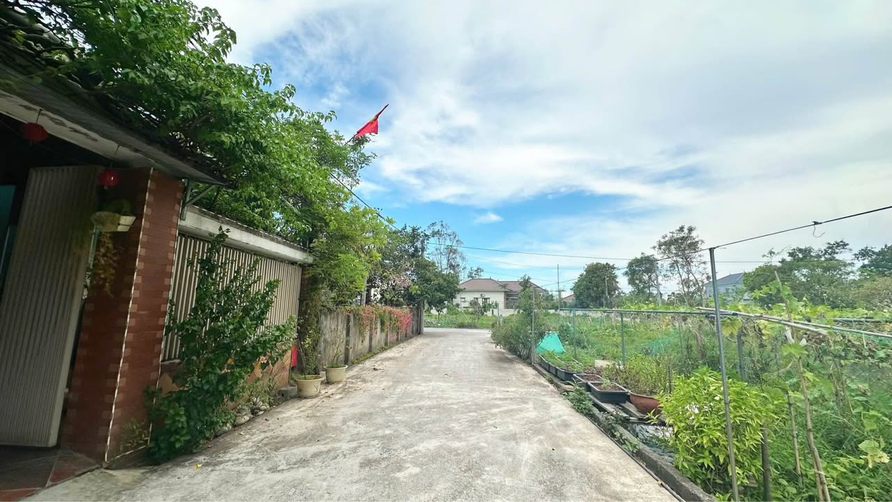 Đất nền Tân Lâm Hương Hà Tĩnh 167,5m² - Vị trí đẹp, giao thông thuận lợi!