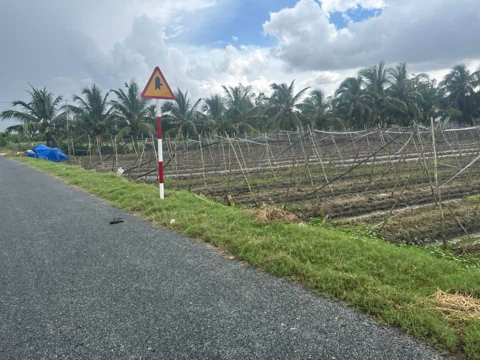 Đất mặt tiền HL28 Tân Thạnh 414.4m² giá chỉ 300 triệu - Cơ hội đầu tư hấp dẫn!