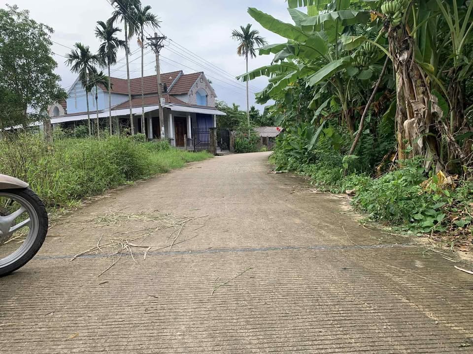 Đất thổ cư Phổ Phong, Đức Phổ 260m² giá chỉ 300 triệu - Cơ hội đầu tư tuyệt vời!