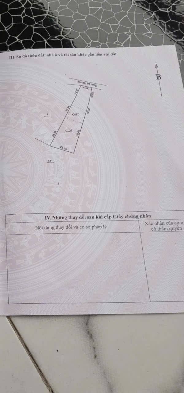 Đất nền Nhuận Trạch, Lương Sơn 1300m² giá 5.2 tỷ - Lô góc 2 mặt tiền lý tưởng!