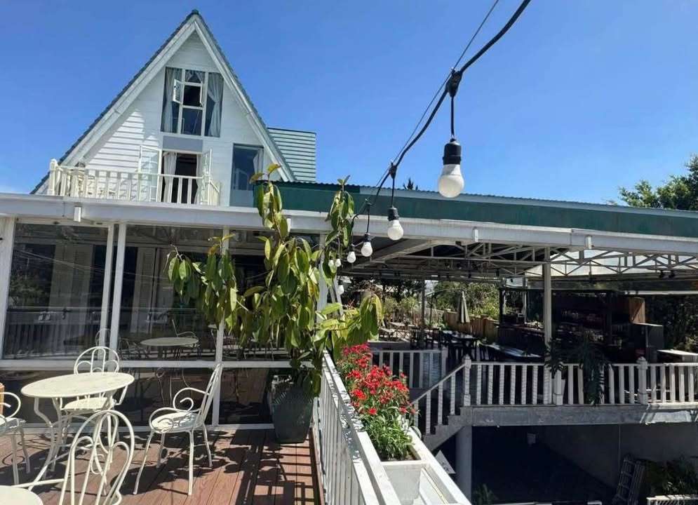 Mặt bằng cho thuê tại Đà Lạt 250m² giá 20 triệu - Sẵn sàng kinh doanh ngay!