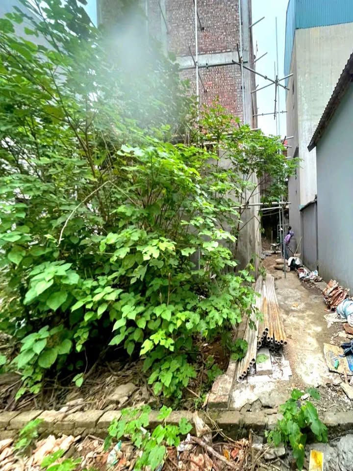 Đất thổ cư An Hạ, An Khánh 56m² giá 4 tỷ - Đầu tư chắc chắn, chính chủ!