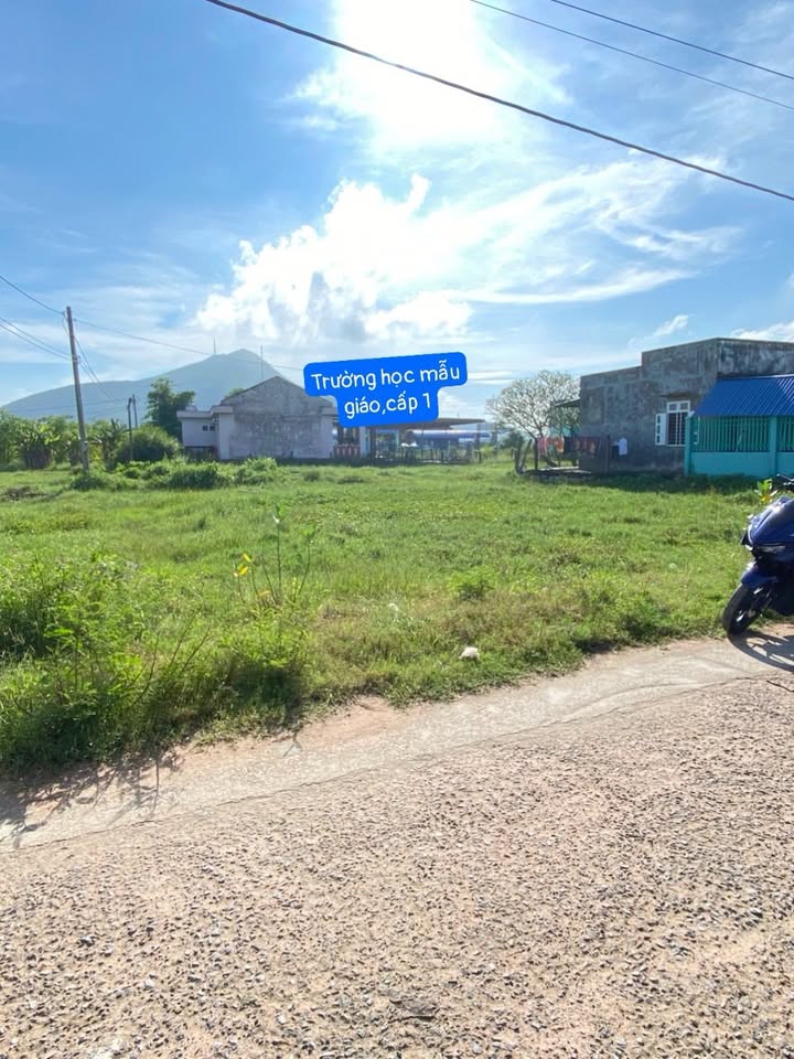 Đất nền thổ cư 1260m² tại xã Hàm Đức - Giá chỉ 600 triệu - Đầu tư lý tưởng!