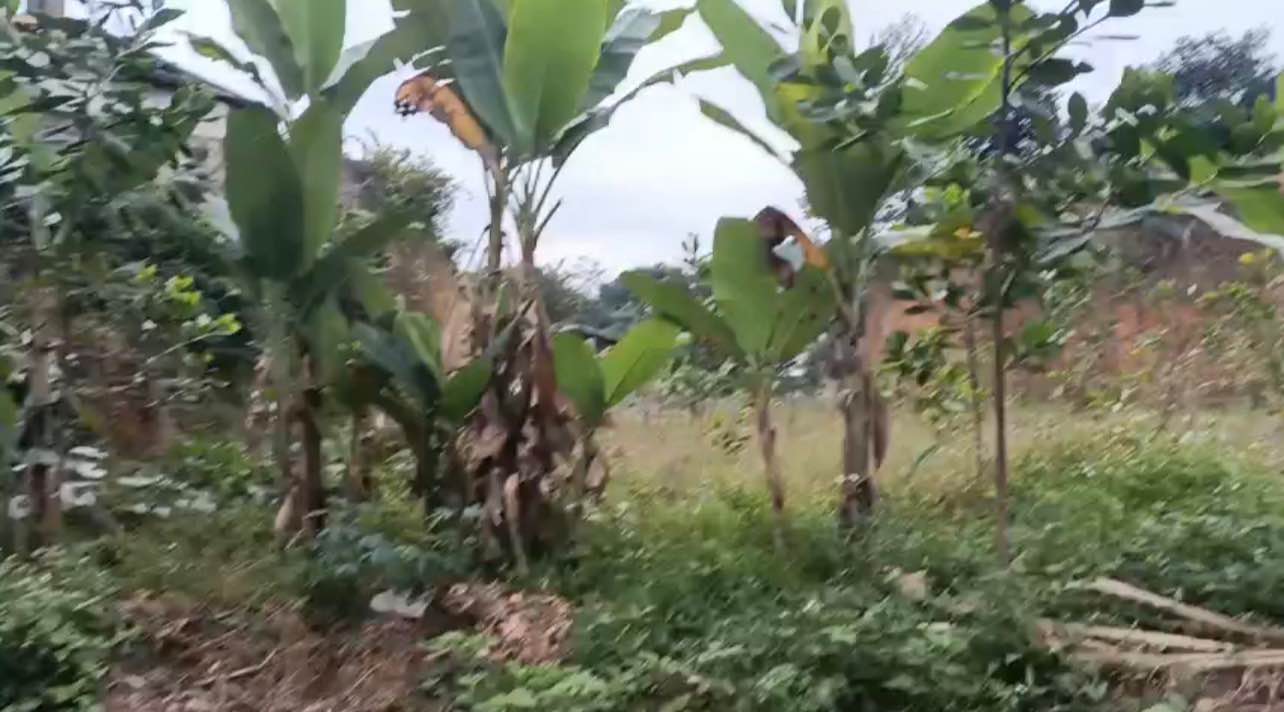 Đất nền Đại Từ, Thái Nguyên 715m² giá 1.43 tỷ - Đường ô tô tránh nhau, vị trí đắc địa!