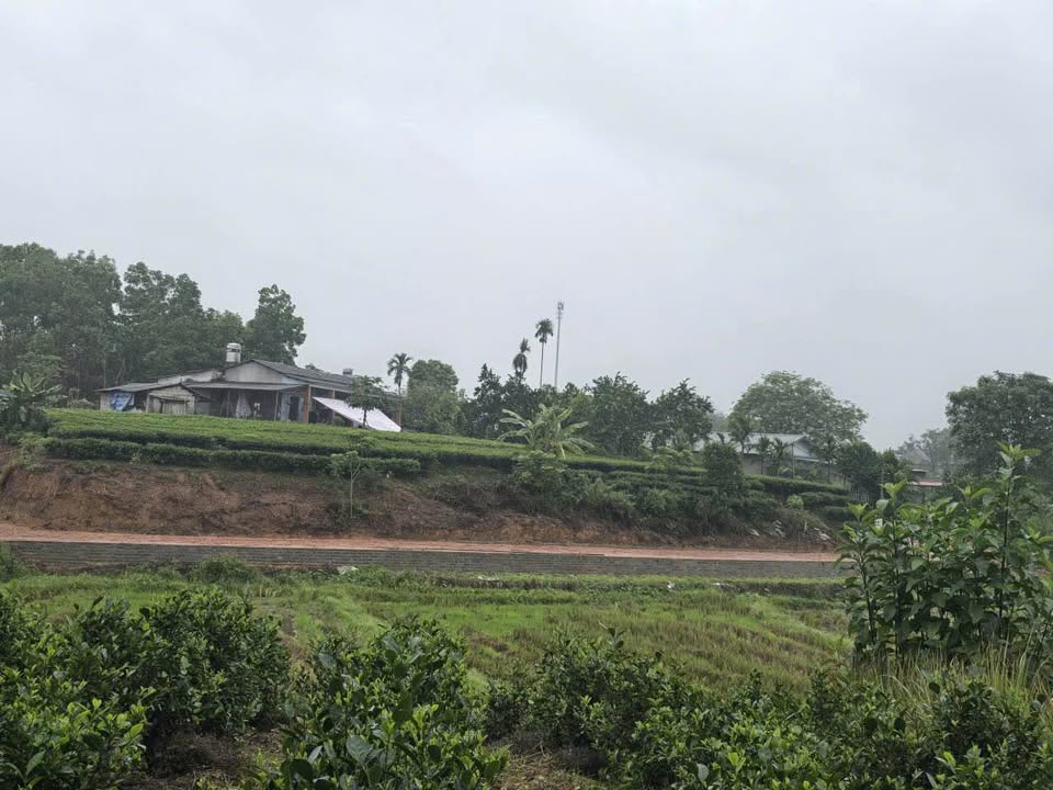 Đất nền chính chủ phường Quyết Thắng 590m² giá 3 tỷ - Đầu tư sinh lời lý tưởng!