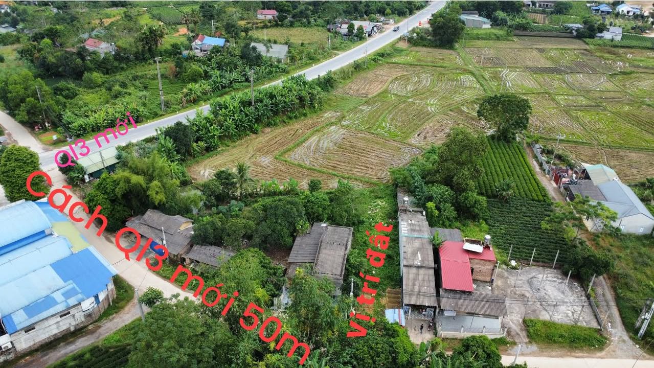 Đất thổ cư Vô Tranh, Phú Lương 390m² giá chỉ 1 tỷ - Cơ hội đầu tư hấp dẫn!